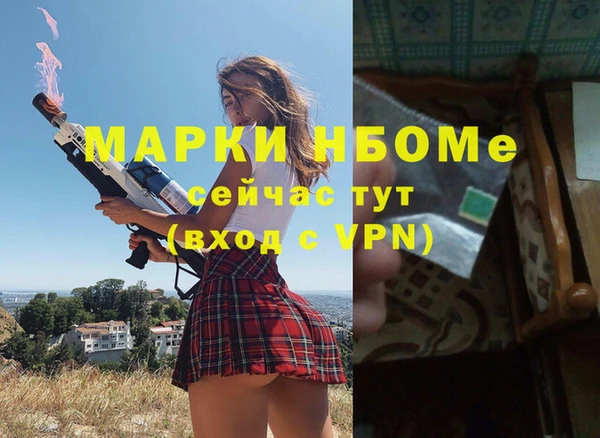 стаф Баксан
