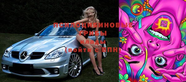 прущие крисы Балахна