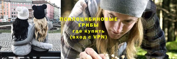 стаф Баксан