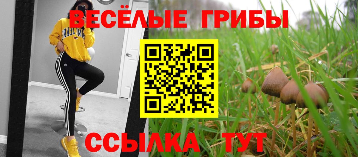 Псилоцибиновые грибы мицелий Кувандык