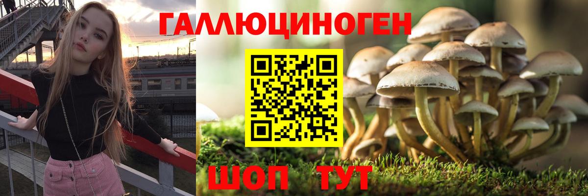 наркота  Галлюциногенные грибы мицелий  Вход с VPN  Кувандык 